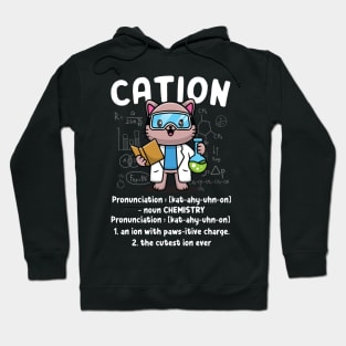 Cation - Funny Science Pun Hoodie